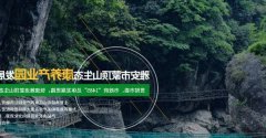 雅安市蒙*山生态康养产业园发展有限公司网站建设公司有创意的主题设计